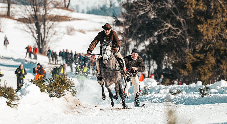 Kumoterki Bukowina Tatrzańska 2022 [galeria]